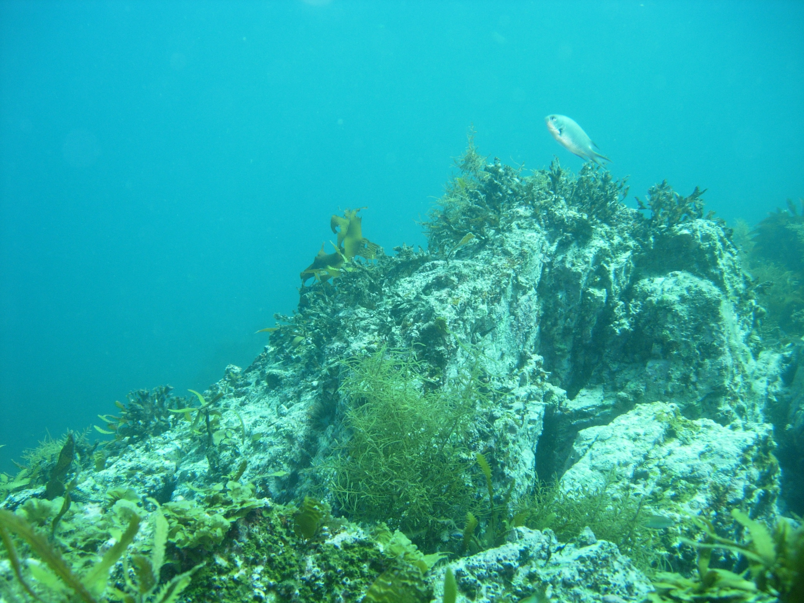 海海岩 海岩潜规则 海清电视剧 岩海官网