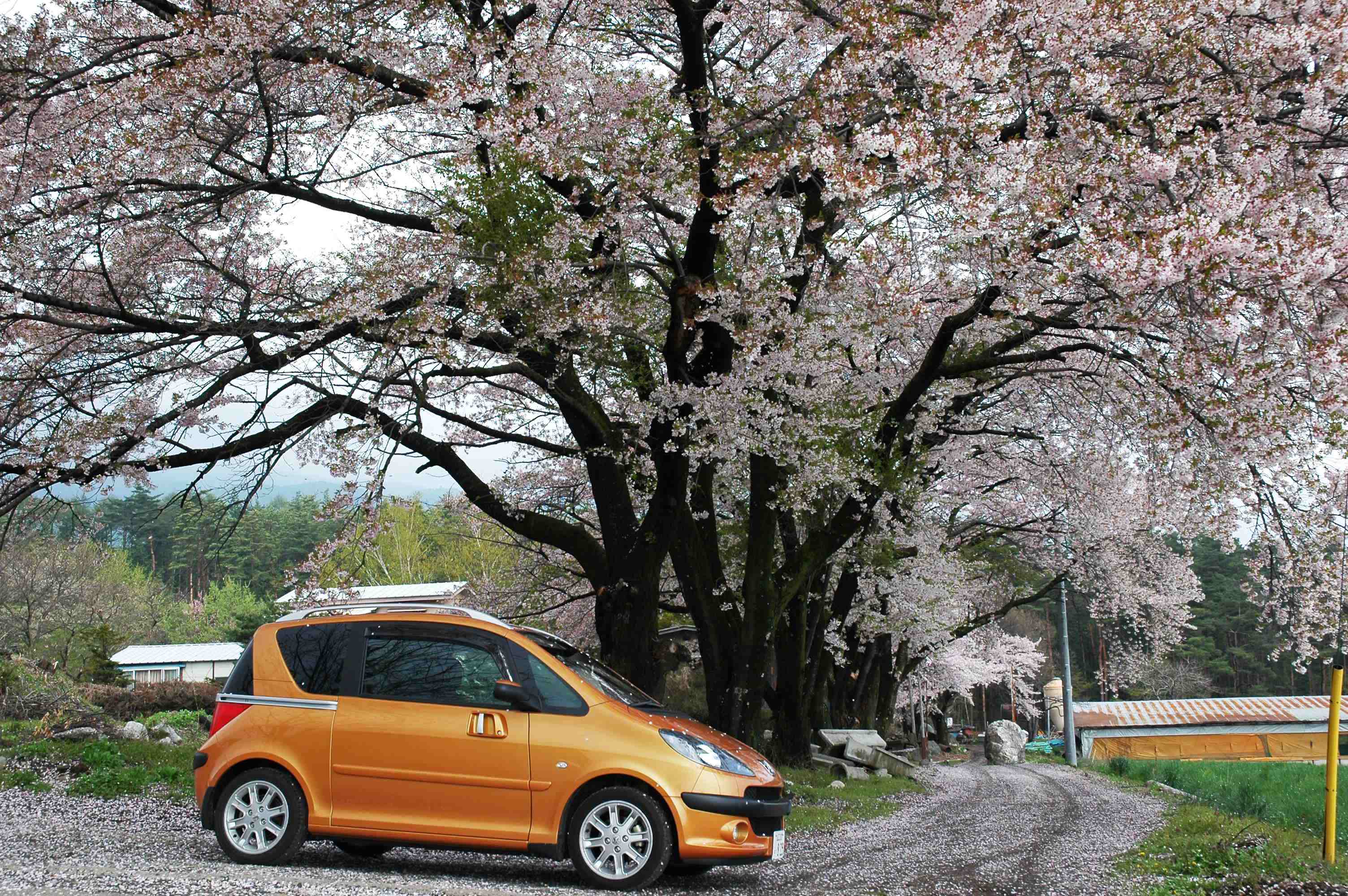 お客様のお車紹介★　vol.3