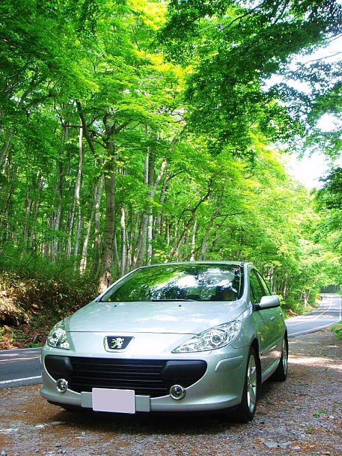 お客様のお車紹介★　vol.4