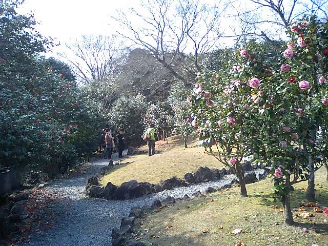ＴＳＵＢＡＫＩ