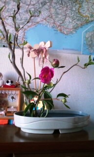 お花が、いっぱい！！