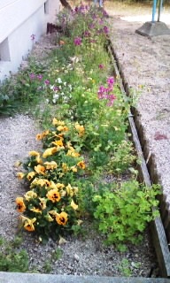 お花が、いっぱい！！