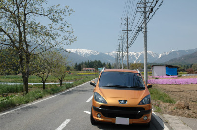 お客様のお車紹介★ vol.8
