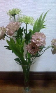 ボンバー！　アラフィー！！