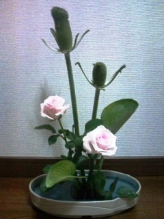 我が家のちょっとした？生花！