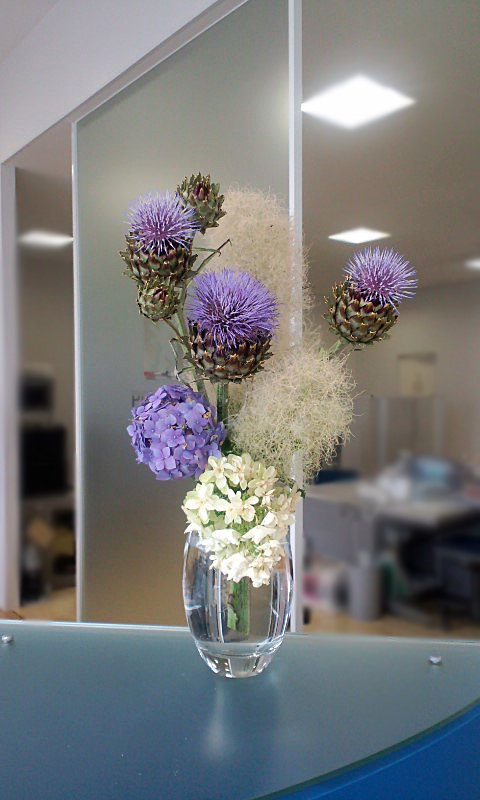 La fleur d'aujourd'hui