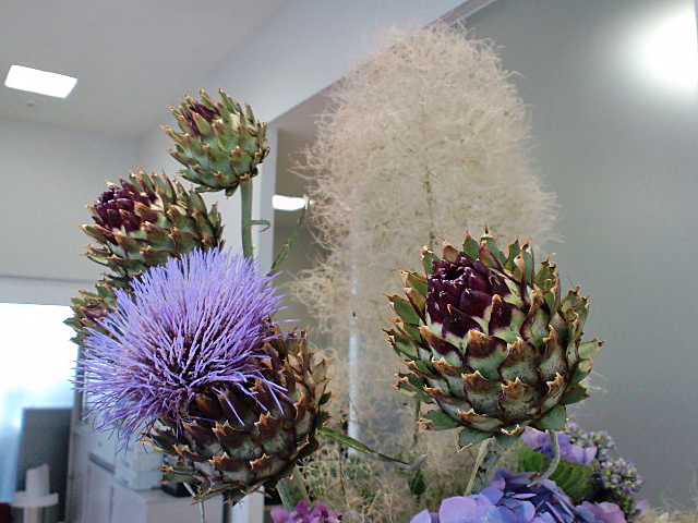 La fleur d'aujourd'hui