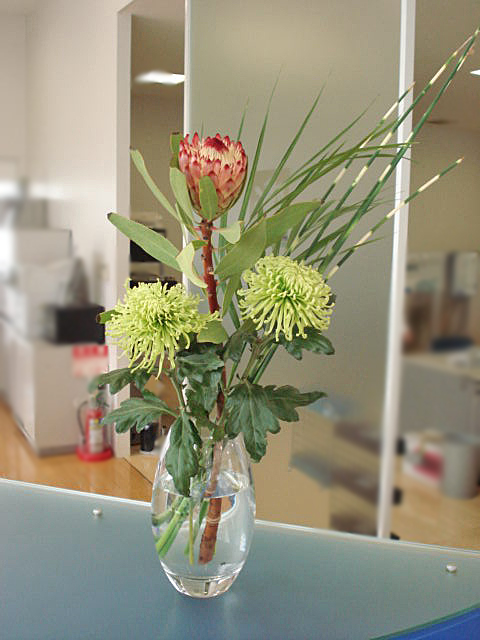 La fleur d'aujourd'hui