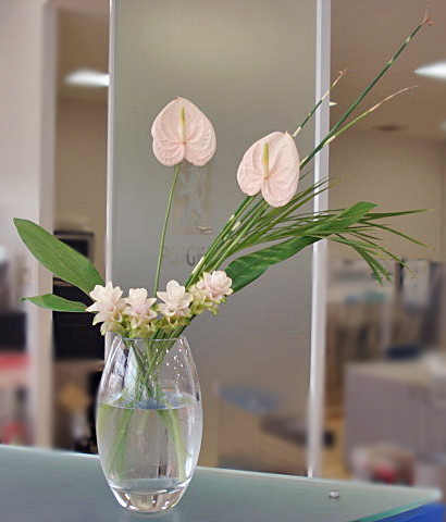 La fleur d'aujourd'hui