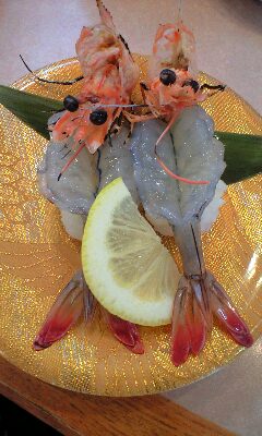食道楽16