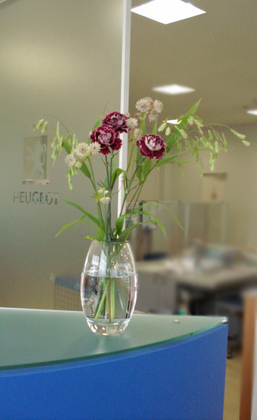 La fleur d'aujourd'hui