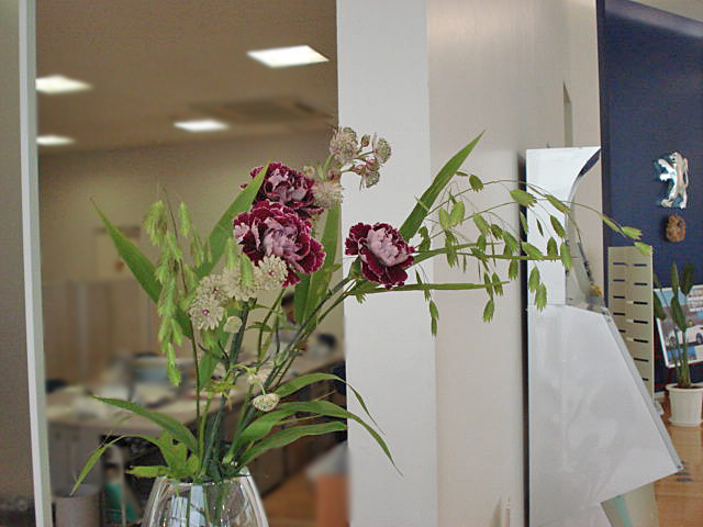 La fleur d'aujourd'hui