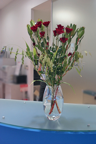 La fleur d'aujourd'hui 