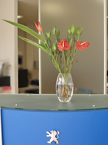 La fleur d'aujourd'hui 