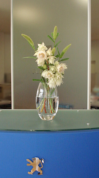La fleur d'aujourd'hui 