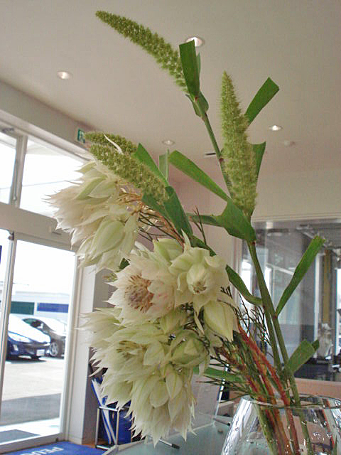 La fleur d'aujourd'hui 
