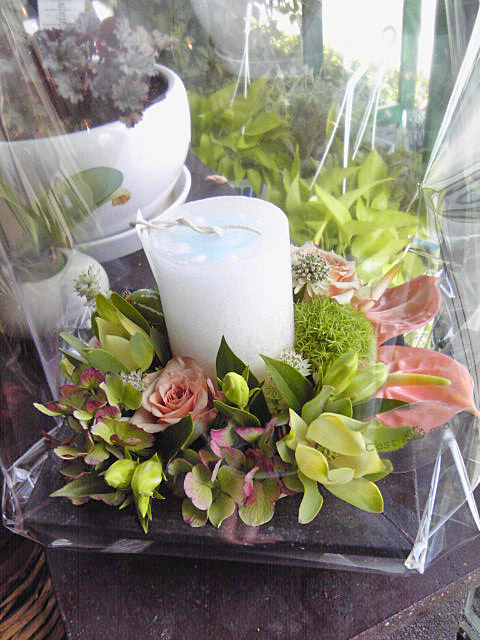 La fleur d'aujourd'hui 