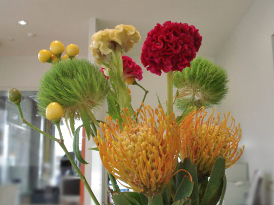 La fleur d'aujourd'hui 