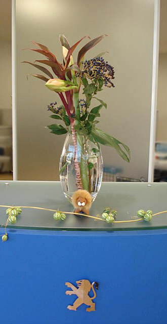 La fleur d'aujourd'hui 