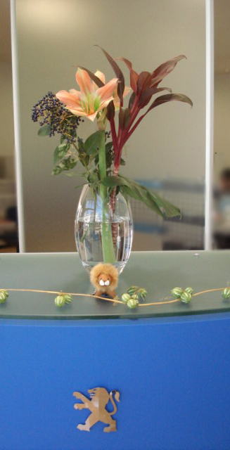 La fleur d'aujourd'hui 