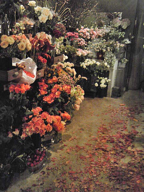 La fleur d'aujourd'hui 