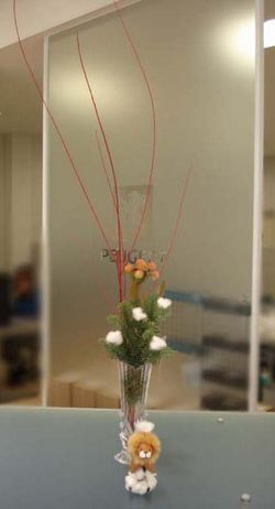 La fleur d'aujourd'hui 