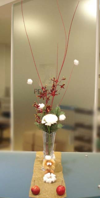 La fleur d'aujourd'hui 