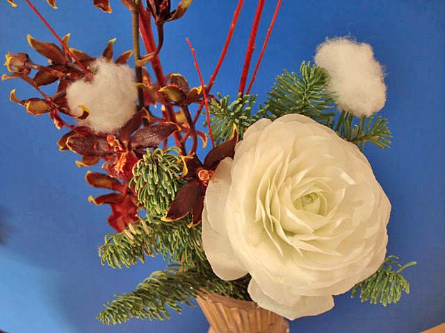 La fleur d'aujourd'hui 