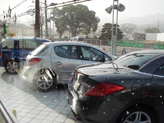 山口でも雪が...