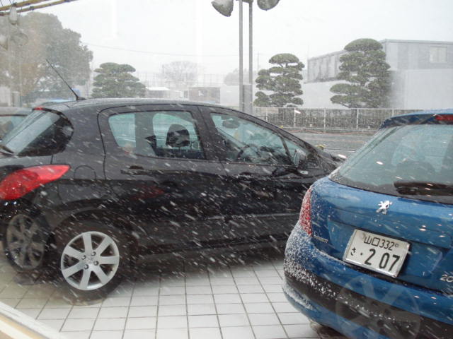 山口でも雪が...