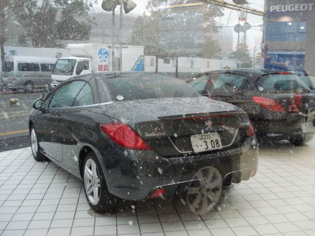 山口でも雪が...