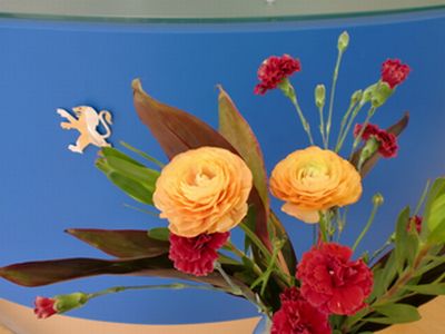 La fleur d'aujourd'hui 