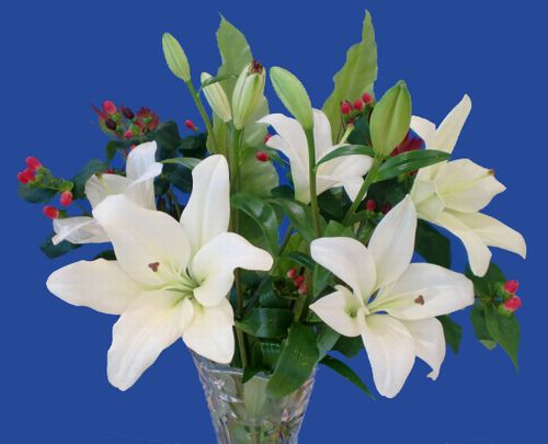 La fleur d'aujourd'hui 
