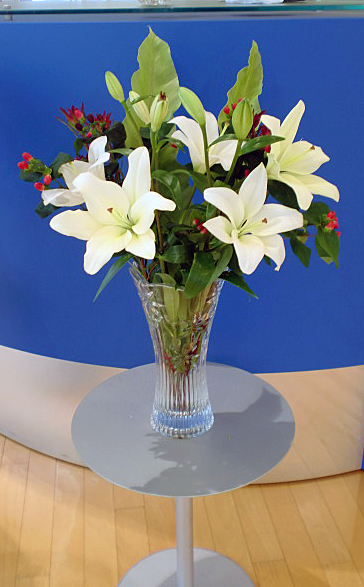 La fleur d'aujourd'hui 