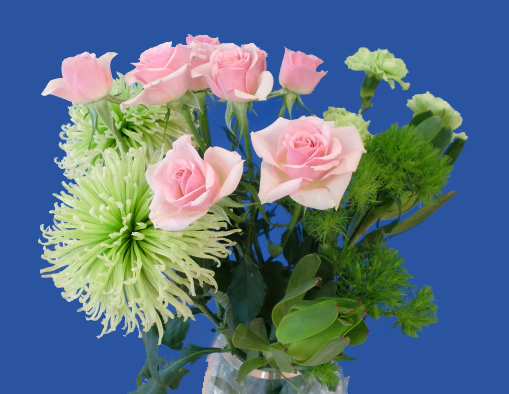 La fleur d'aujourd'hui 