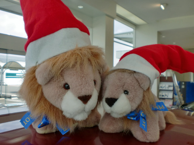 ☆プジョークリスマス☆