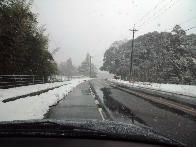 2011　初潜り　寒さがつたわる写真を...