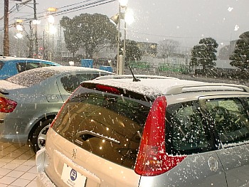 雪が！！