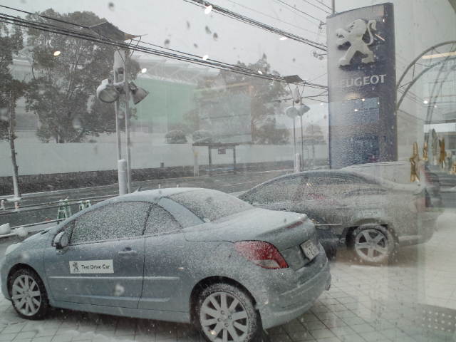 今日の山口市内は　暴風雪！