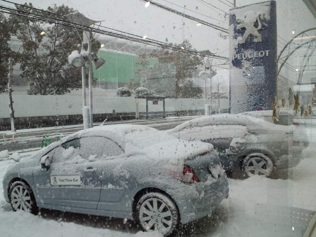 今日のプジョー山口は雪が...
