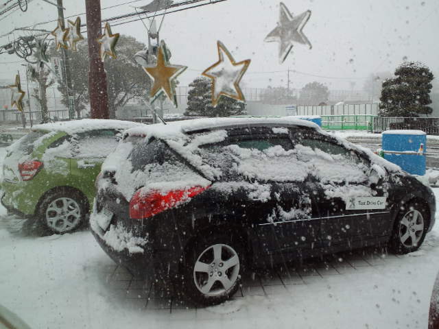 今日のプジョー山口は雪が...