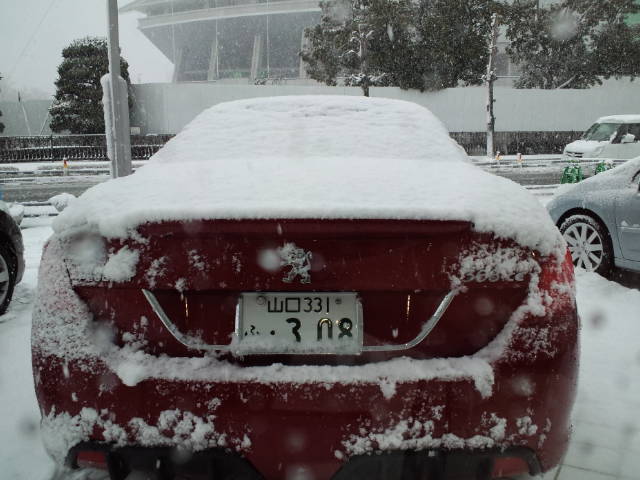 今日のプジョー山口は雪が...