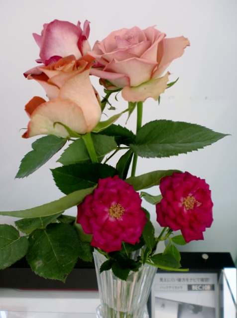 先週と今週のお花☆一斉公開！！