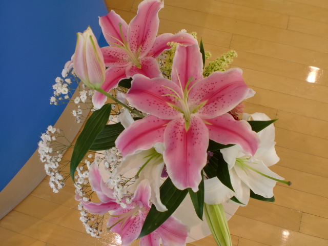 先週と今週のお花☆一斉公開！！