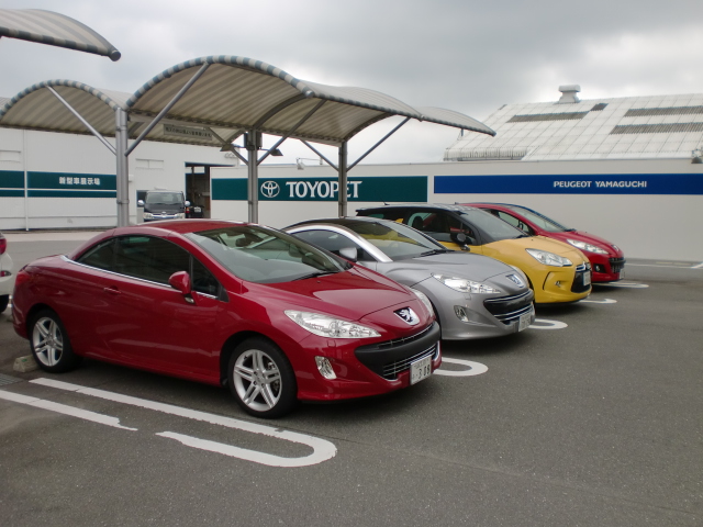 マニュアル試乗車が勢揃い！！！