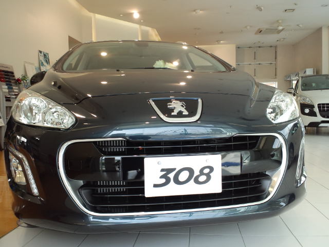 NEWﾓﾃﾞﾙの３０８SW