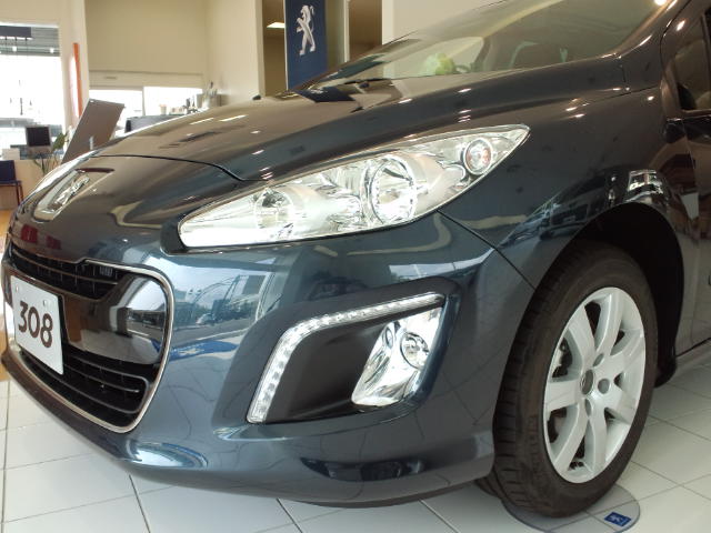 NEWﾓﾃﾞﾙの３０８SW