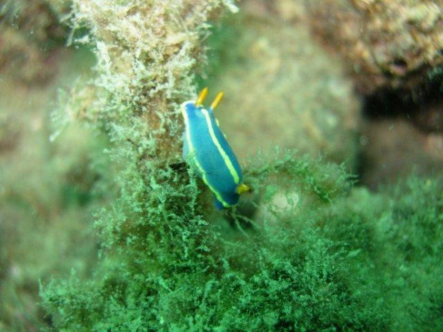 ひさしぶりの紫津浦