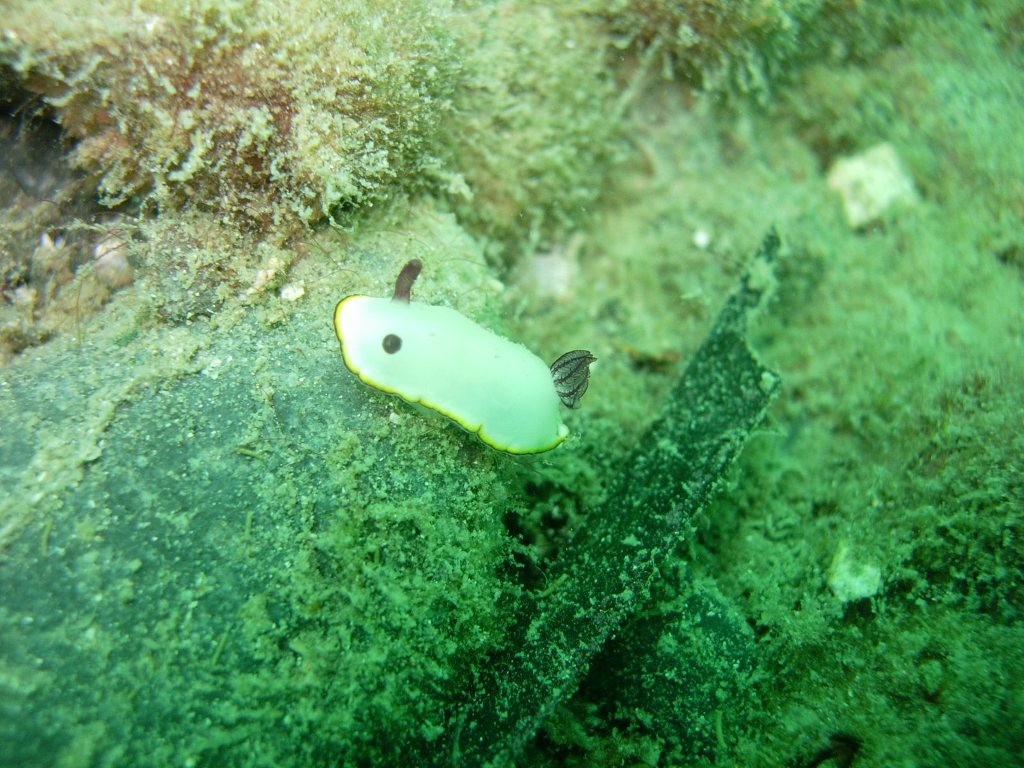 ひさしぶりの紫津浦