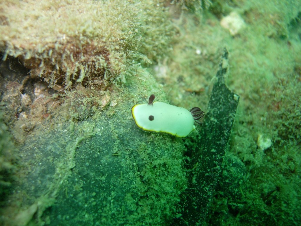 ひさしぶりの紫津浦
